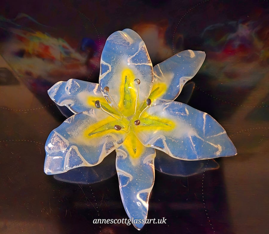 Handmade Fused Glass Oplaline White and Yellow Lily 2 of 3 with Wall-mount