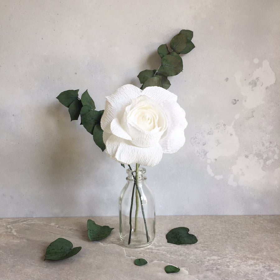 The White Paper Rose