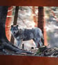 WOLF PHOTOGRAPH 16x12