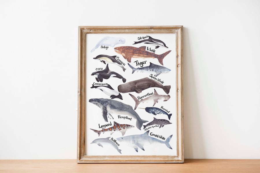 A4 whales, sharks and dolphins, watercolour art print 