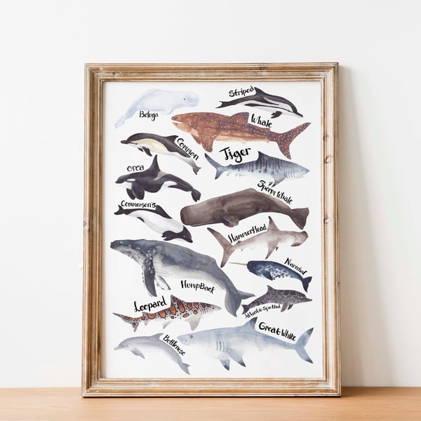 A4 whales, sharks and dolphins, watercolour art print 