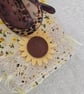 Summer sunglasses case