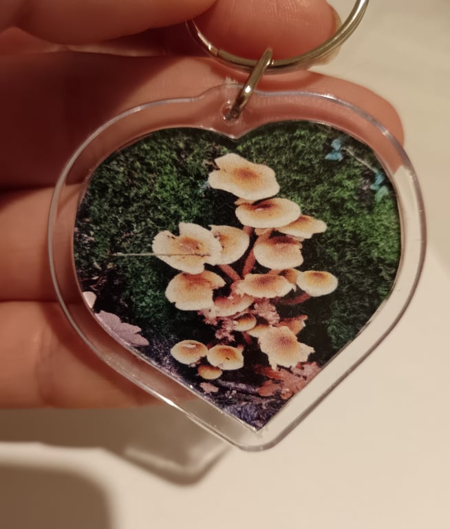 Wild Mushrooms Forest Themed Photography Heart Shaped Keyring 