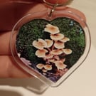 Wild Mushrooms Forest Themed Photography Heart Shaped Keyring 