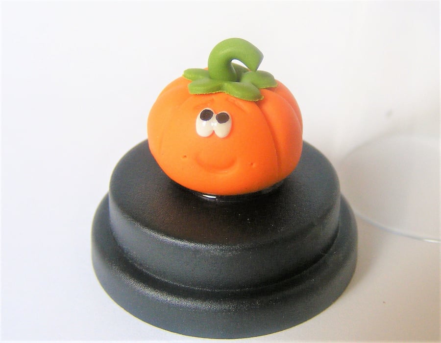 Pet pumpkin, Halloween gift