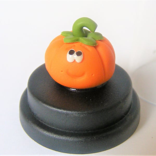 Pet pumpkin, Halloween gift