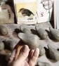 Pot Robin - Image 4