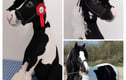 Horses, Ponies and Donkey Keepsakes 