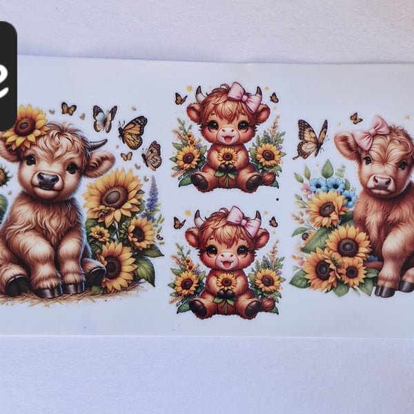 Highland cows cup wraps 