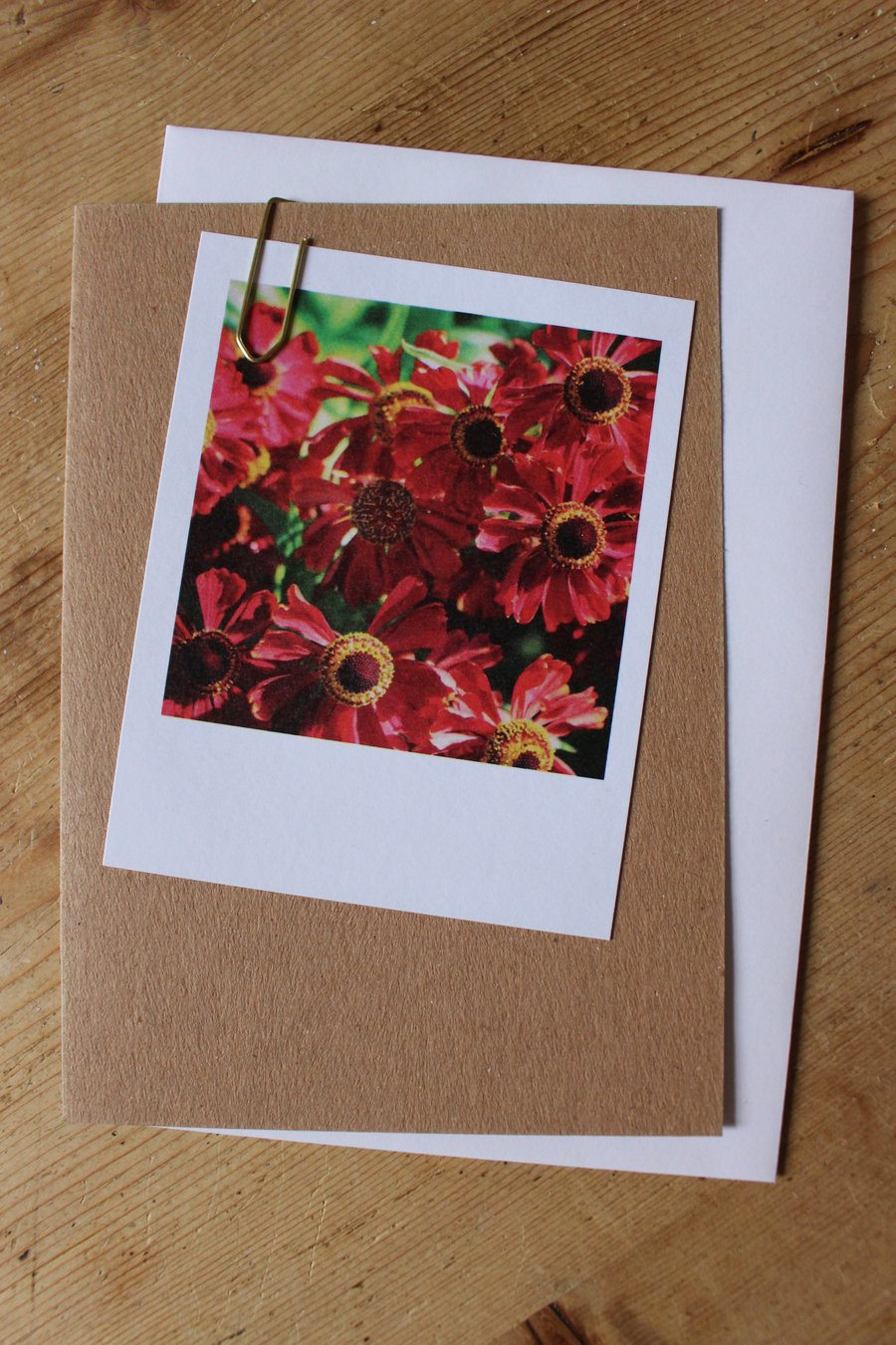 “Polaroid” style photo card: flowers