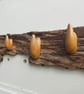 Blitz Timber 14 - Image 6