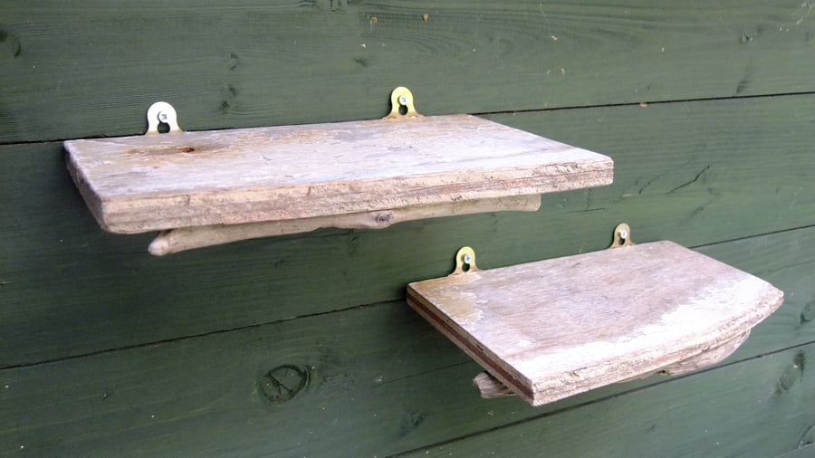 Natural rustic driftwood shelves for storage or display, wood from Cornwall