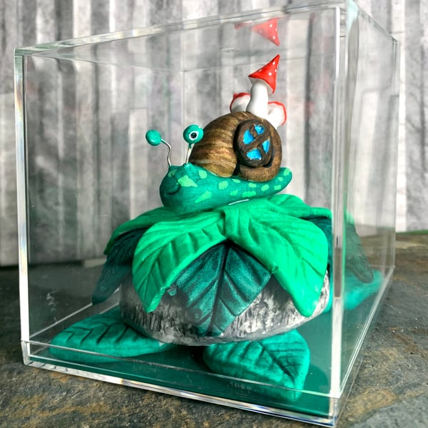 Snail In A Box