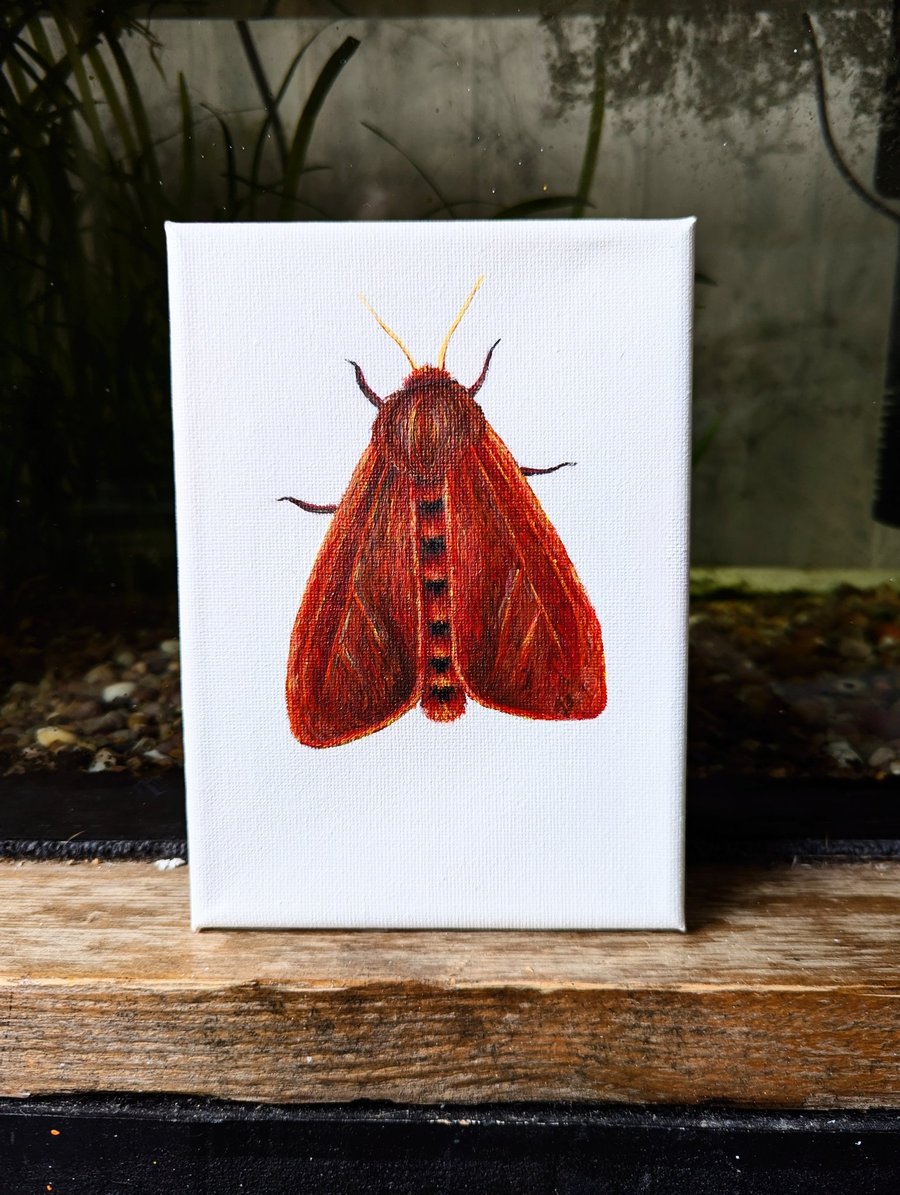 Ruby Tiger Moth Acrylic Painting 