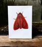Ruby Tiger Moth Acrylic Painting 