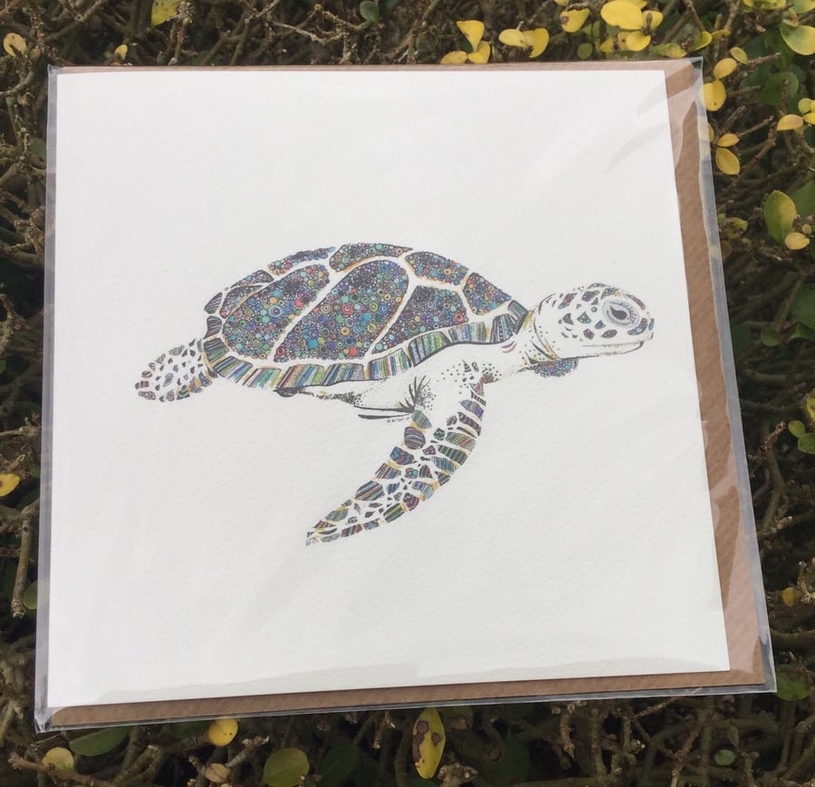 Tropical Turtle greeting card OFFER