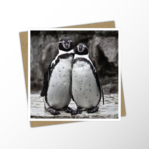 Penguin Couple Blank Note Card - Photo Greetings Card For Any Occasion