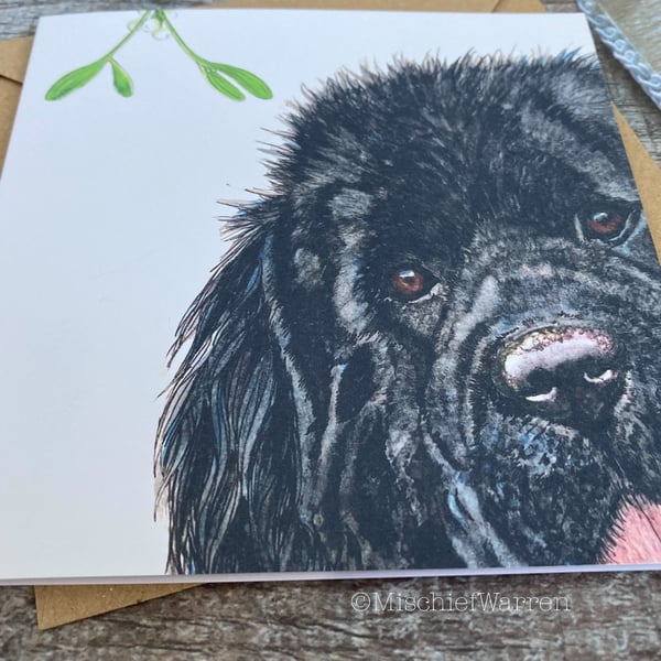 Newfoundland Christmas Card. Black Newfie dog Christmas card.