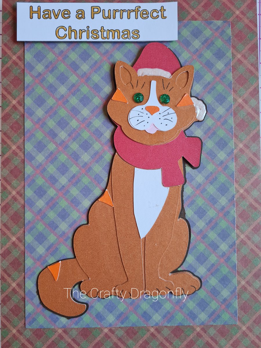 Cat Christmas Card 