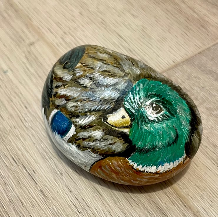 Duck hand painted stone garden rock art - Folksy
