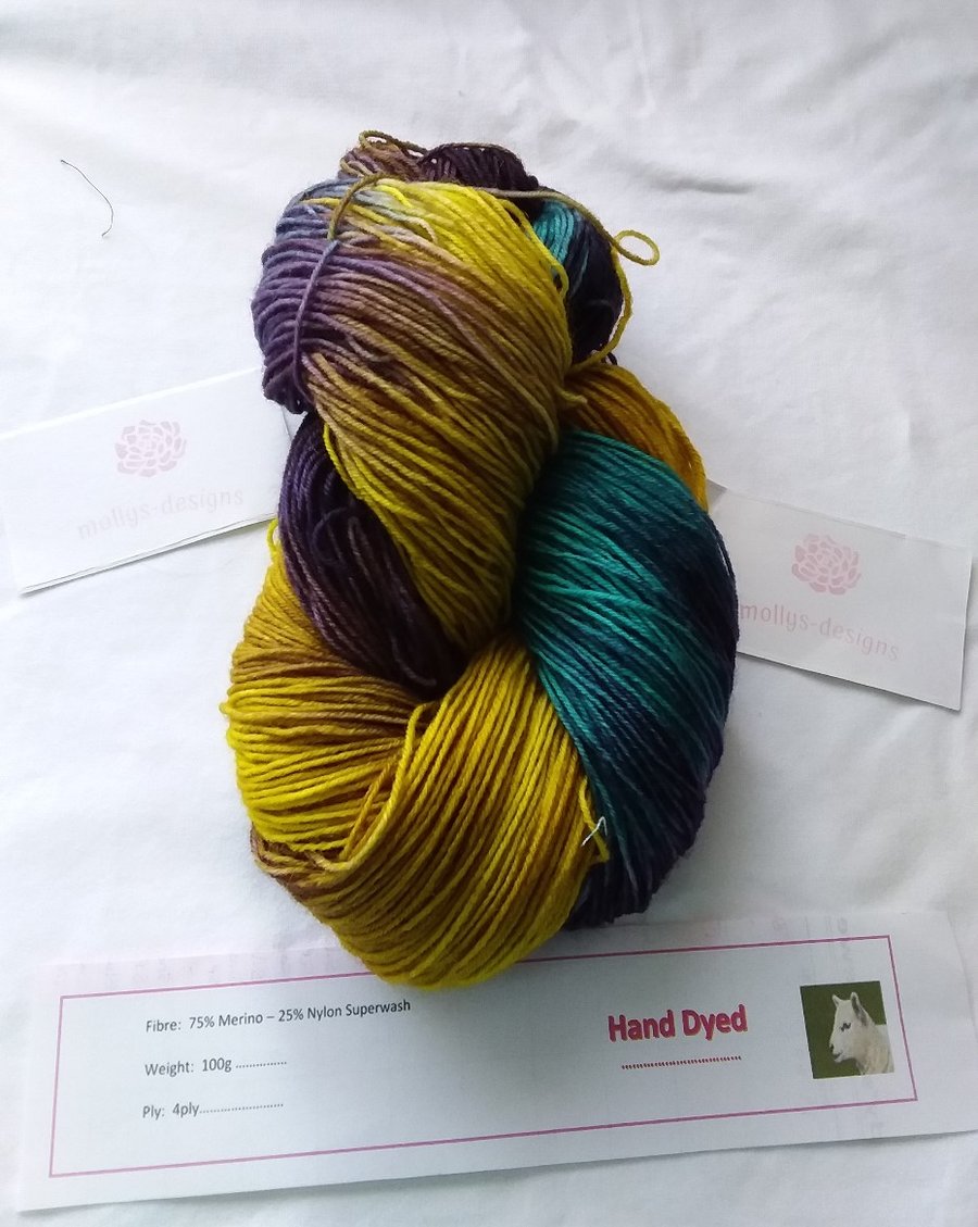 Hand Dyed Merino Knitting Yarn 4ply 100g