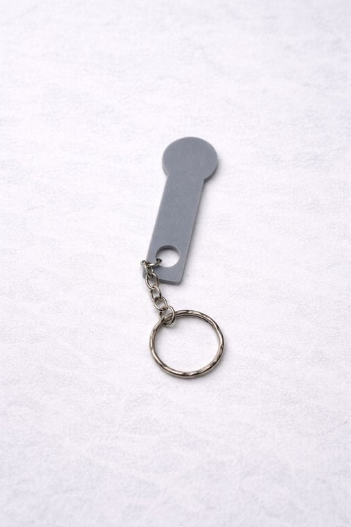 Custom Trolley Coin Keyring – 3D Printed, Handmade, Made to Order