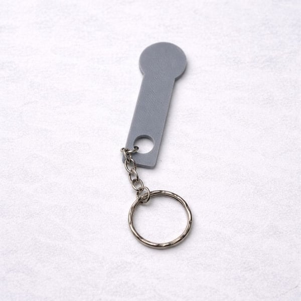 Custom Trolley Coin Keyring – 3D Printed, Handmade, Made to Order