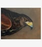 Hawk Original Oil Painting - Bird of Prey Artwork