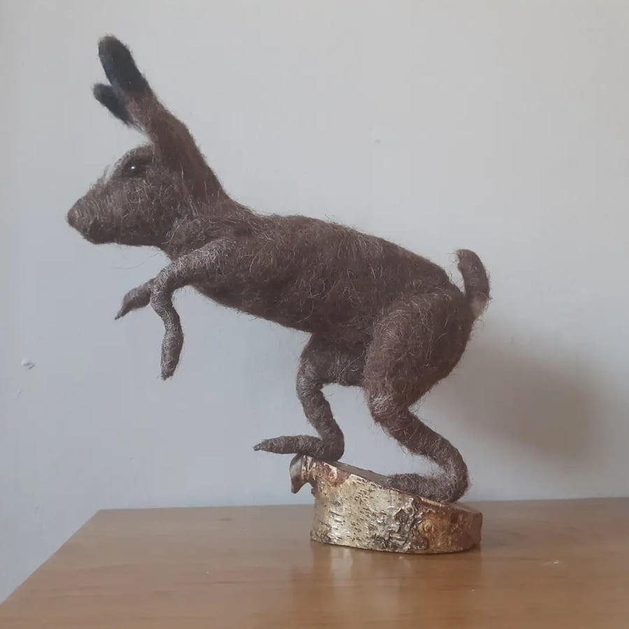 Leaping Hare 