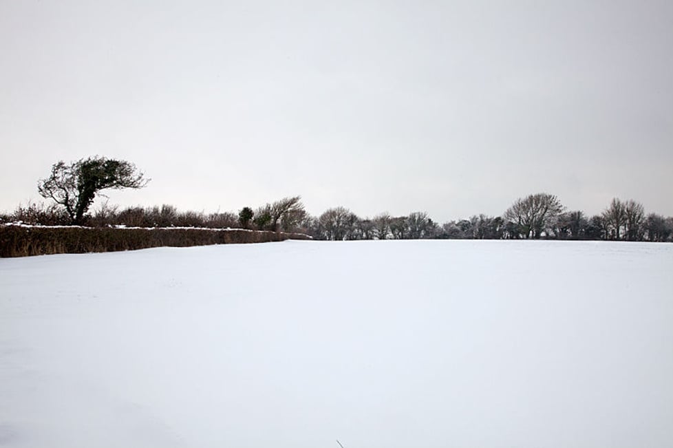 The Boards 'n Bowls Co.