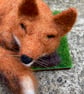  Fox, felt animal sculpture, needle felted sleeping fox model - Image 4