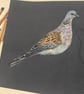 Two Turtle Doves, An A4 signed print of an original drawing - Image 6