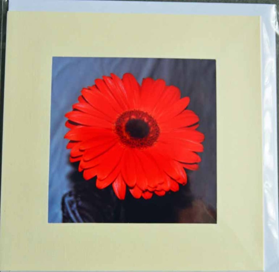 large greetings card - floral photographic