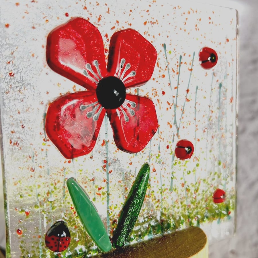 Fused Glass Poppy panel