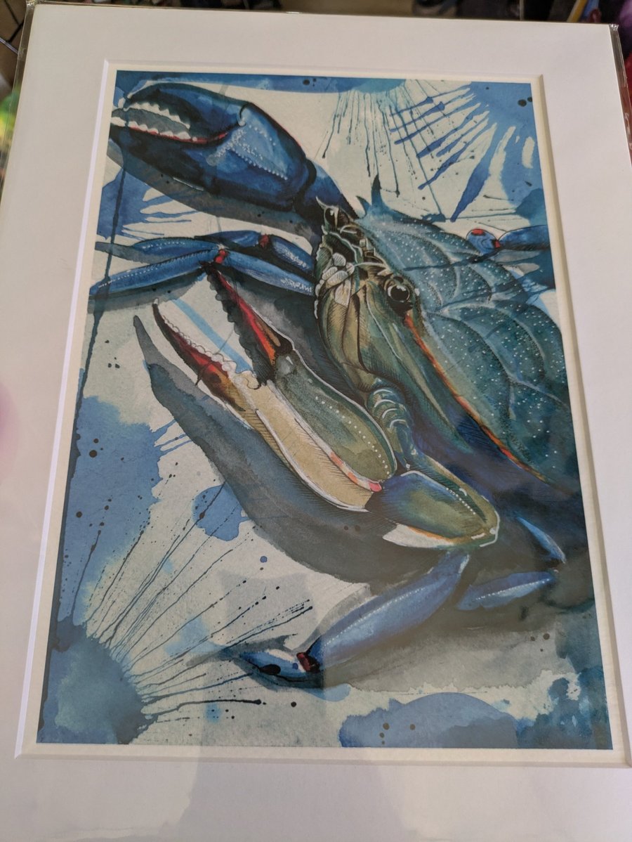 Blue Crab Fine Art Print, A4 Mounted, Coastal Food Art, Contemporary Watercolour