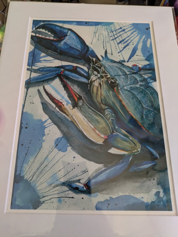 Blue Crab Fine Art Print, A4 Mounted, Coastal Food Art, Contemporary Watercolour