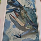 Blue Crab Fine Art Print, A4 Mounted, Coastal Food Art, Contemporary Watercolour