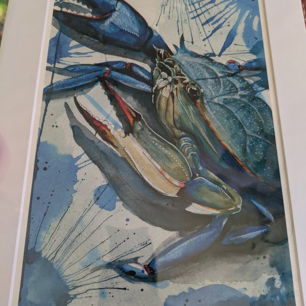 Blue Crab Fine Art Print, A4 Mounted, Coastal Food Art, Contemporary Watercolour