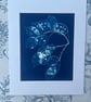 Seed Pods captured in Cyanotype, Gift for gardner, Original wall art. - Image 6