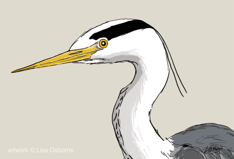 Heron - bird art print