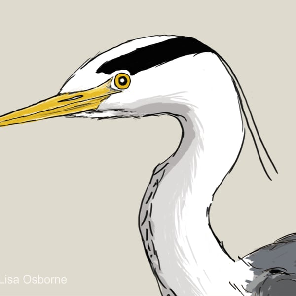 Heron - bird art print