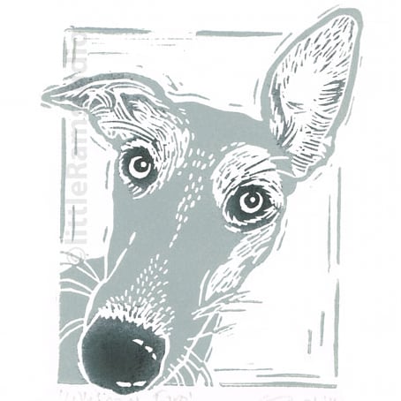 Grey Whippet Dog, Original Linocut Print
