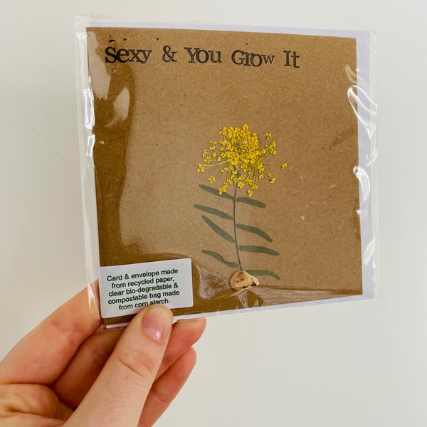Dried Botanicals Greetings Card - Sexy & You Grow It