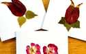 Greeting cards with pressed flowers