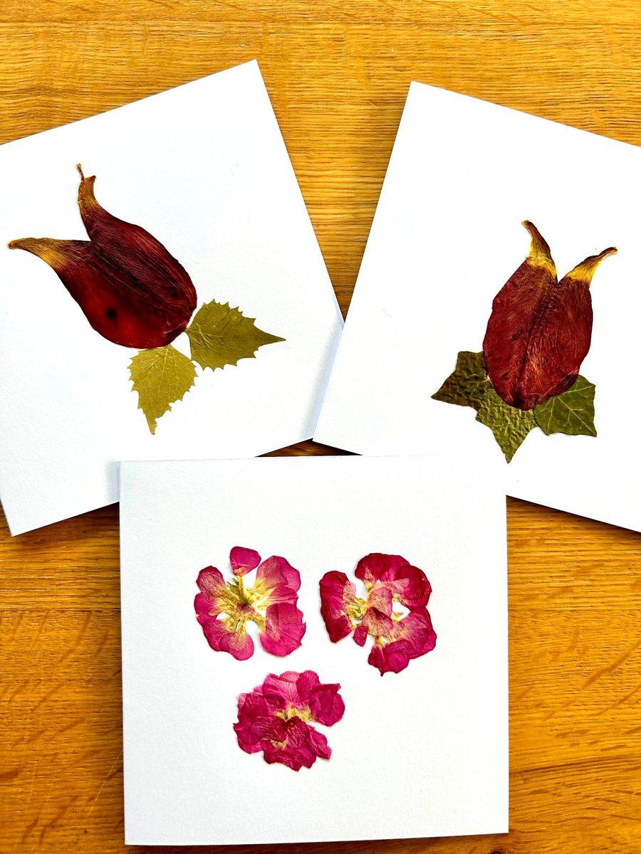 Pack of 3 greeting cards made with real pressed flowers from my garden in Essex