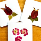 Pack of 3 greeting cards made with real pressed flowers from my garden in Essex