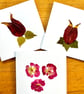 Pack of 3 greeting cards made with real pressed flowers from my garden in the UK