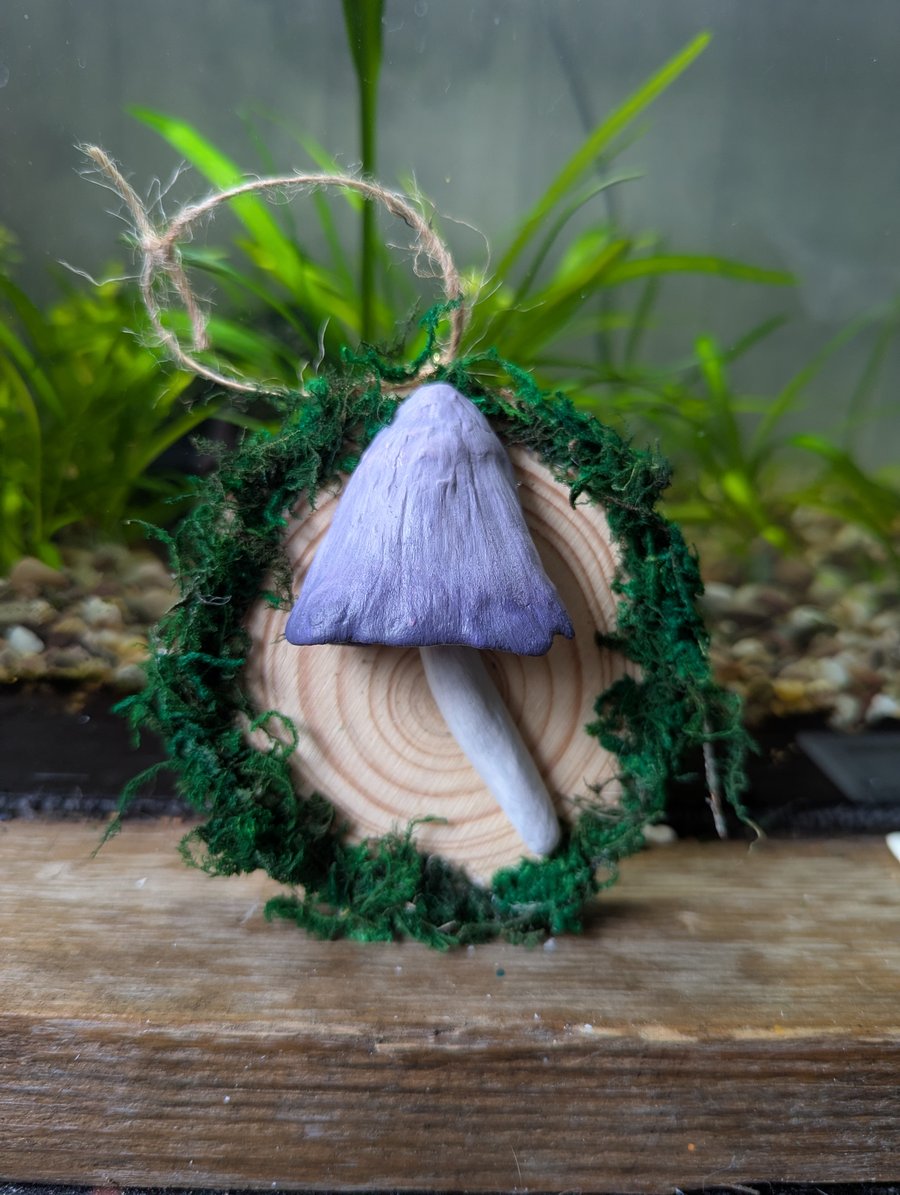 Common Inkcap Wall Hanging 