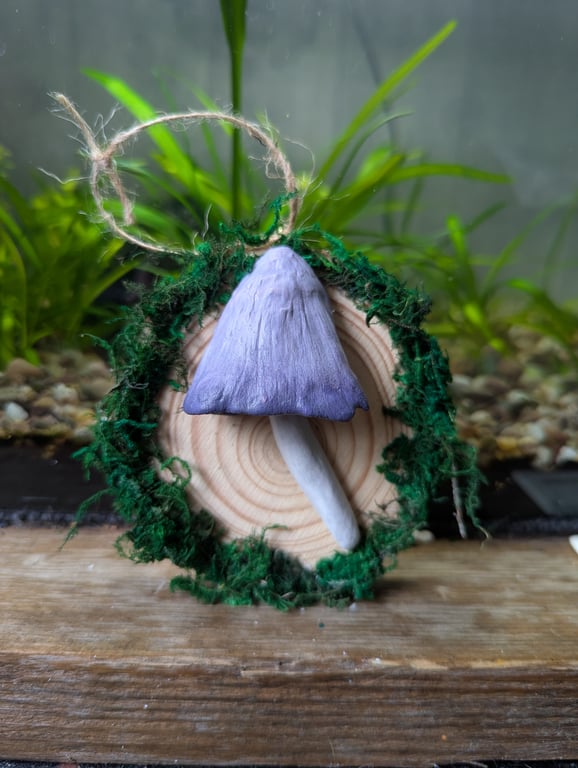 Common Inkcap Wall Hanging 