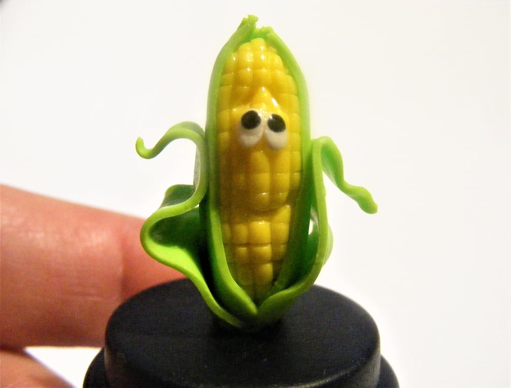 Pet Corn Cob, Pet Corn on the cob, Sweetcorn, Corn ear, Maize
